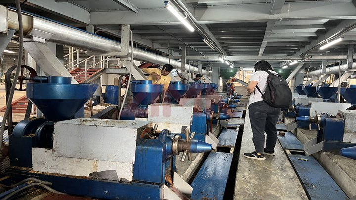 Brand new granulator machine manufacturer in china price in Angola